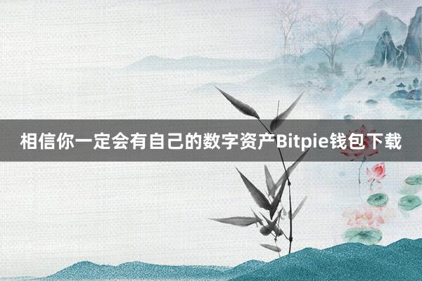 相信你一定会有自己的数字资产Bitpie钱包下载