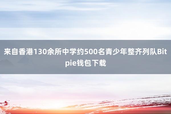 来自香港130余所中学约500名青少年整齐列队Bitpie钱包下载