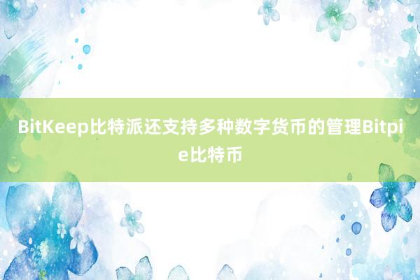 BitKeep比特派还支持多种数字货币的管理Bitpie比特币