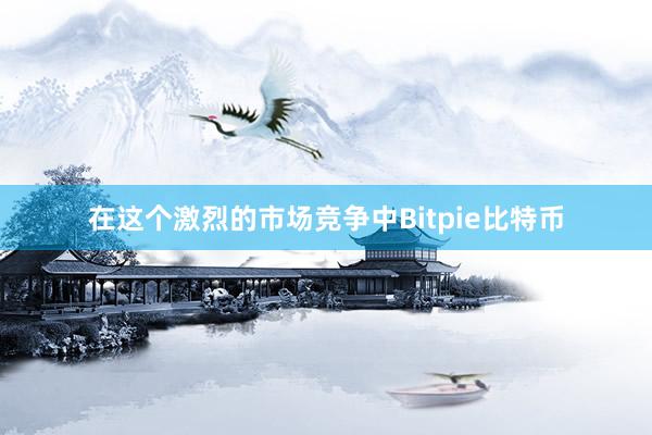 在这个激烈的市场竞争中Bitpie比特币