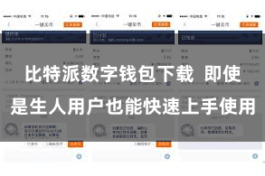 比特派数字钱包下载 即使是生人用户也能快速上手使用